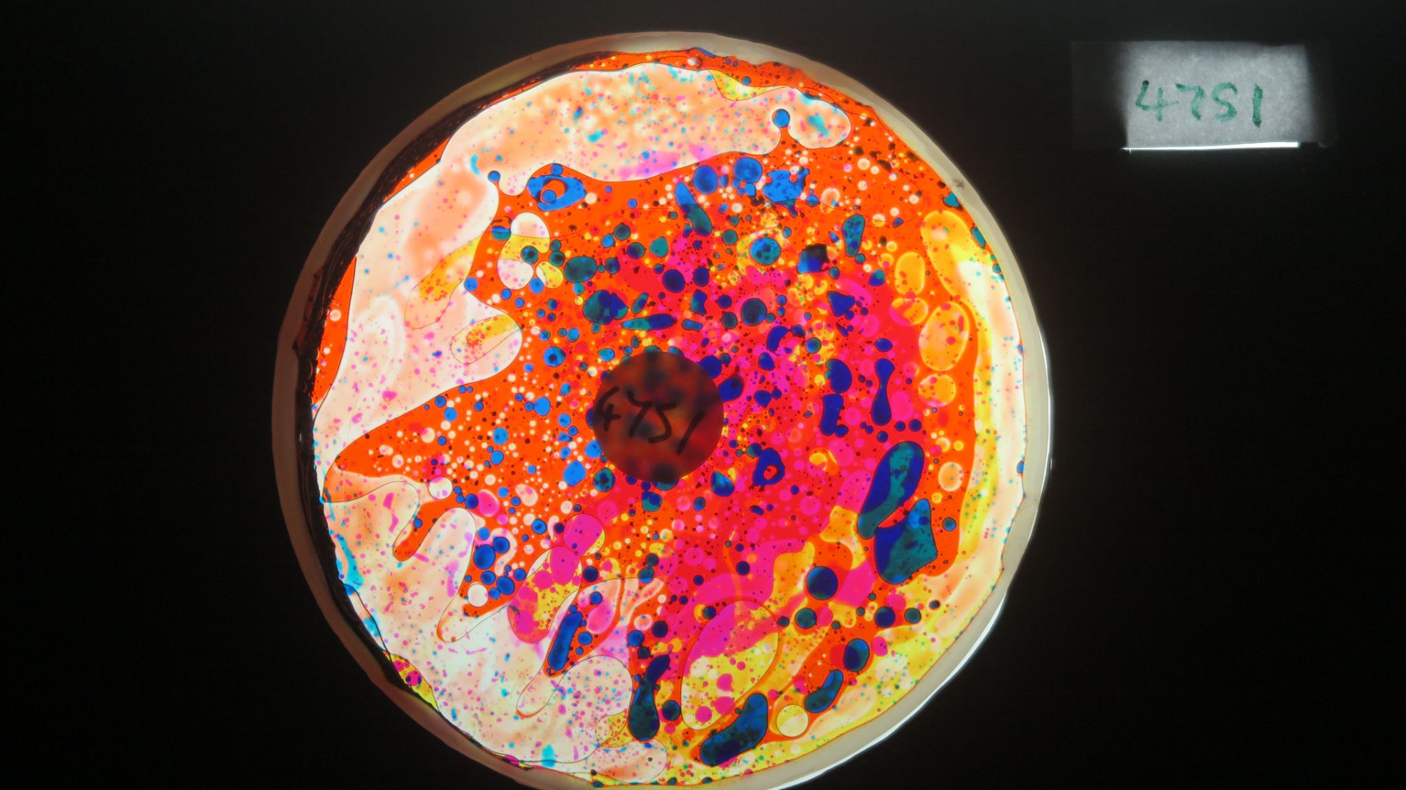 BV4803 bubble vision oil wheel